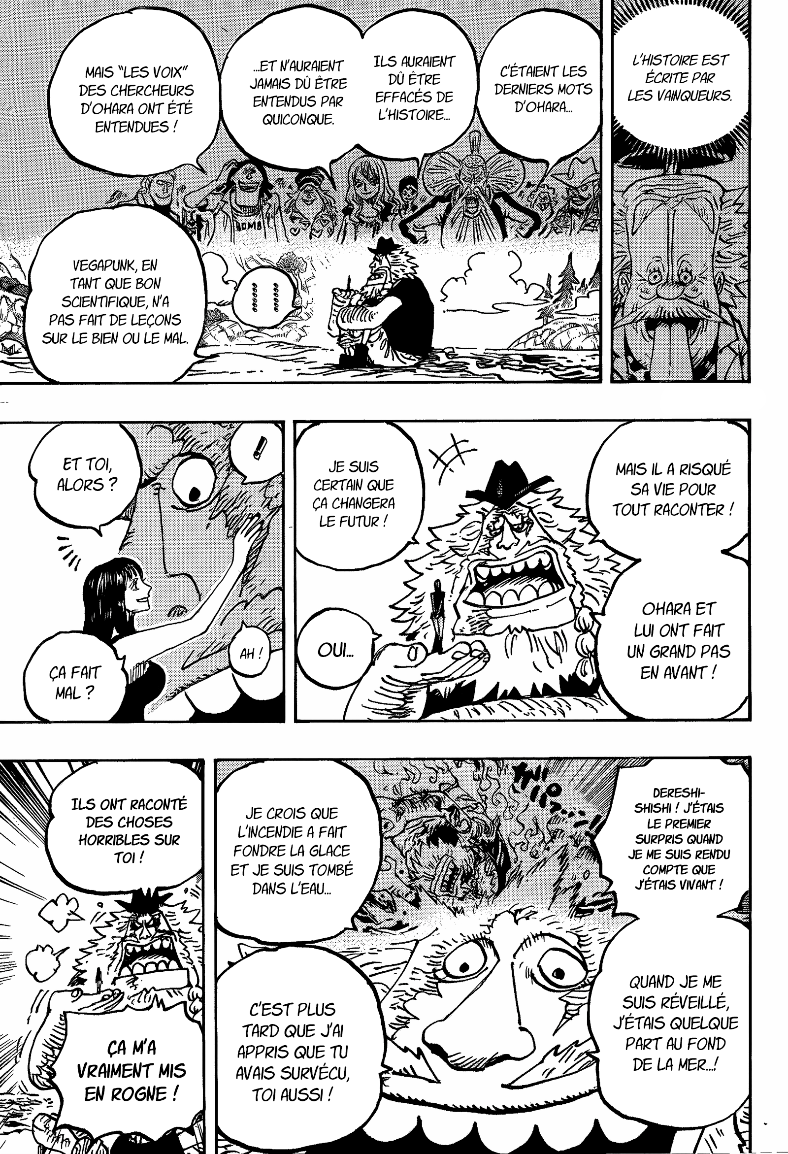       One   Piece 1133 Page 13